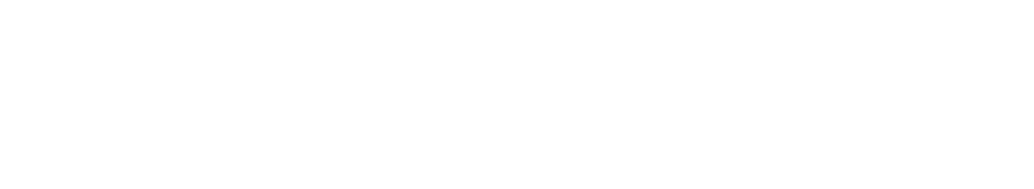 Dualentry