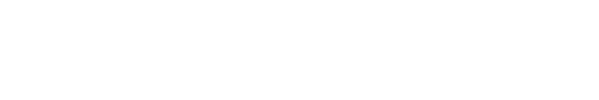 Orca